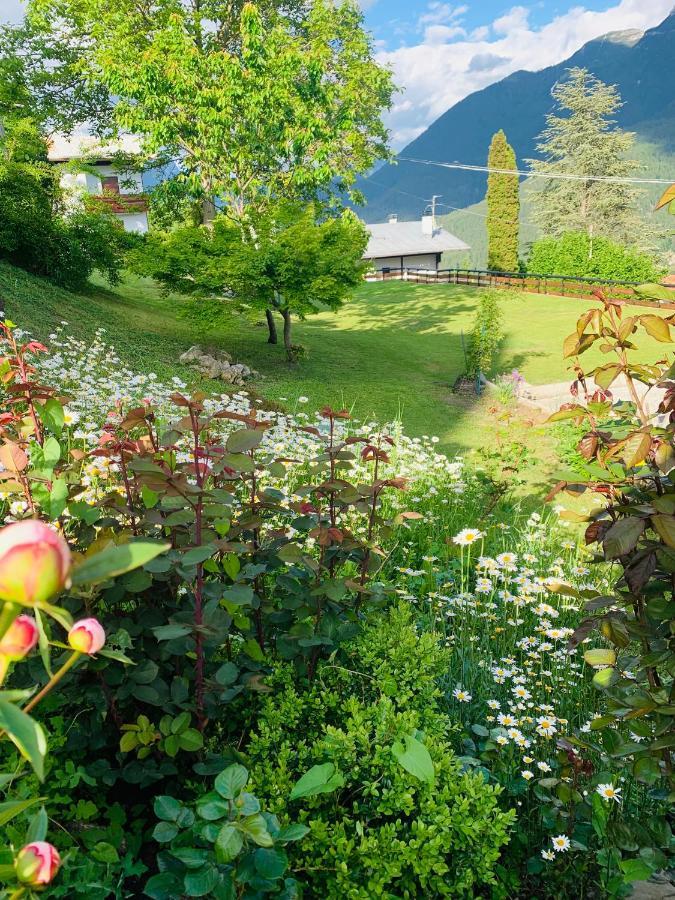 Mansarda La Soffitta Domegge di Cadore Exterior foto